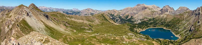lac_allos